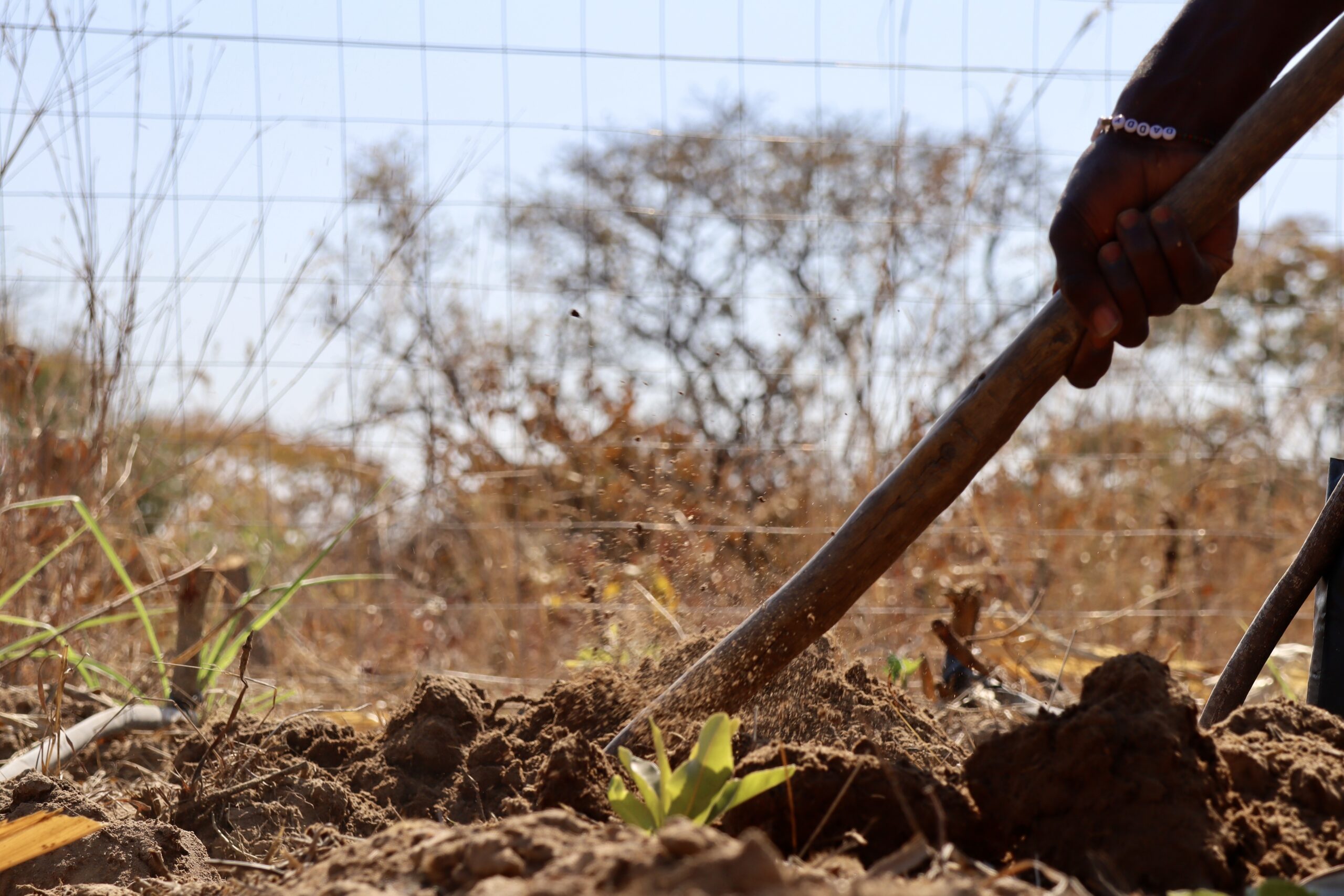 Faith Farm Children's Home
